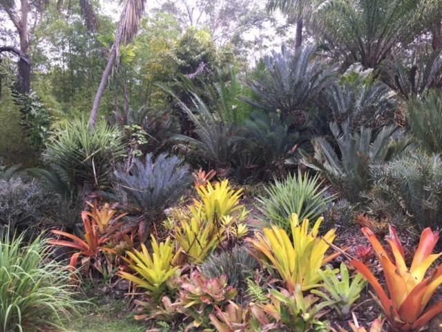Ancient Gardens Guesthouse & Botanical Gardens Eudlo Exterior photo